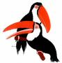 toucan2.jpg